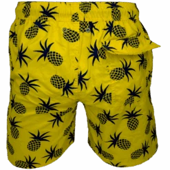 Pineapple 11 Pineapple -Harrys Pineapple d1350625 a62a 4706 b388 20d14790512b