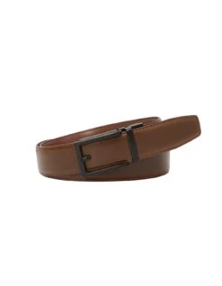 Clarke Auto Belt -Harrys SalesNet01 d050c887 a4d4 4e1e a06b 1bbc9590bb8d