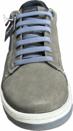 Wilfred -Harrys Wilfred 4