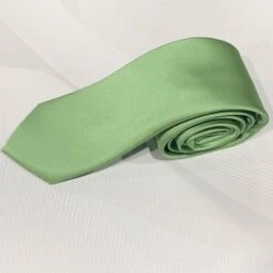 X10981-5 Silk Tie