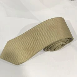 X19055-10 Silk Tie