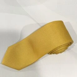 X19055-5 Silk Tie